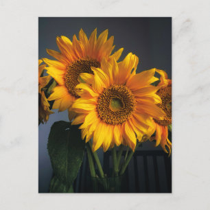 Snygga solblommor i vykort Vas