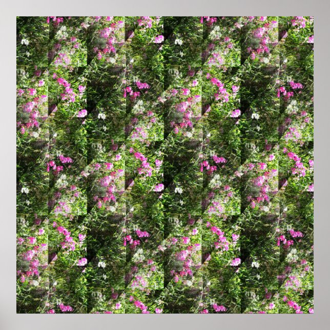 Snygga sötsaker.... poster (Framsidan)