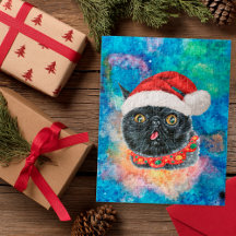 Snygga svarta katt jul present