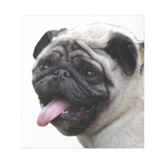 Snygga vita Pug-fotoaccessoarer, lägg till namn Anteckningsblock