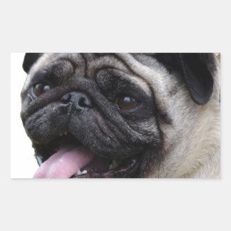 Snygga vita Pug-fotoaccessoarer, lägg till namn Rektangulärt Klistermärke