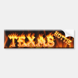 snygginga texas bildekal