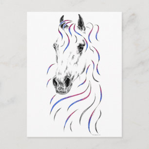 Snyggt Arabian Horse Vykort