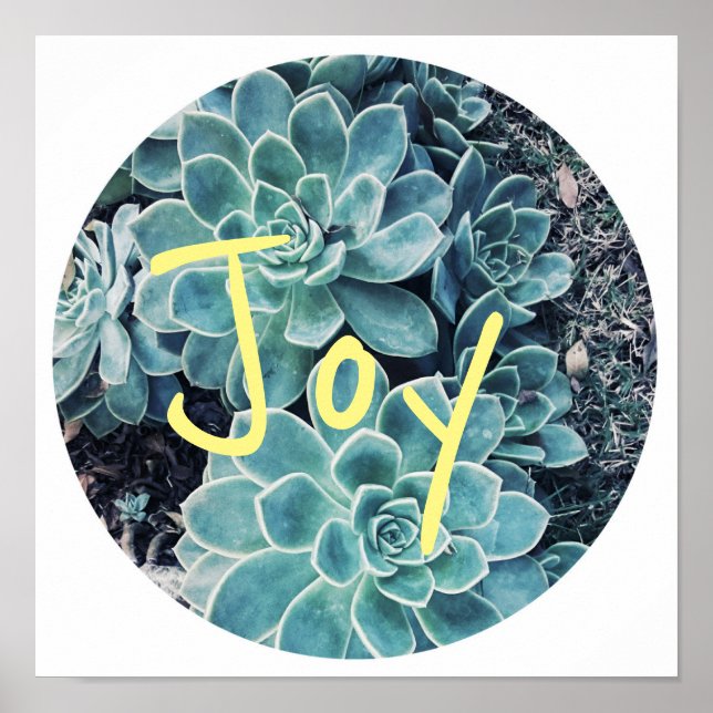 Snyggt Blek Grönt Cactus Succulent Joy Poster (Framsidan)