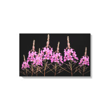 Snyggt bra art lila rosa willfire blommigt boho