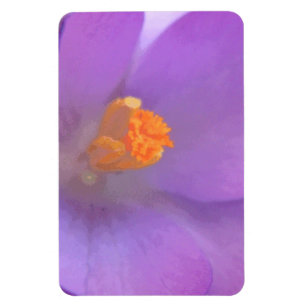 Snyggt Crocus Premium Magnet
