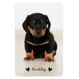 Snyggt Cute Hearts Photo Personlig| Svart Magnet