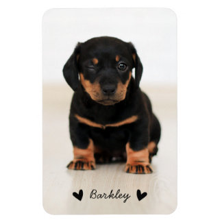 Snyggt Cute Hearts Photo Personlig| Svart Magnet