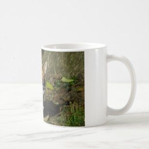 Snyggt Dsed Chihuahua Puppy Kaffemugg