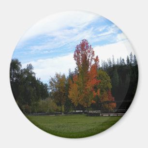 Snyggt fall-dag... magnet