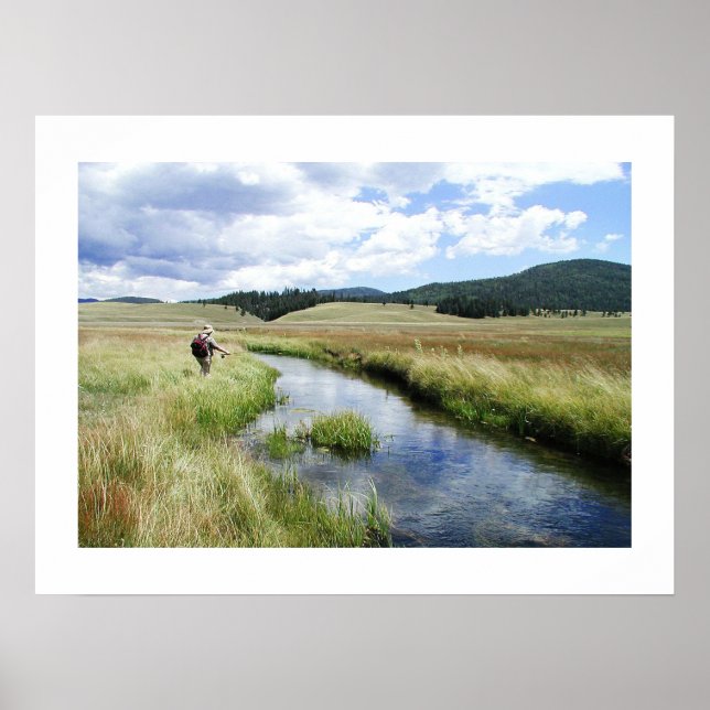 Snyggt Flygfiske Poster (Framsidan)
