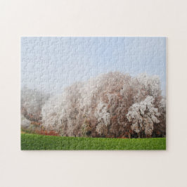 Snyggt Frosty Autumn Träd Austria Ligcape Pussel