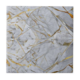 Snyggt Grått Marble med Guld Veined Ceramic Tile Kakelplatta