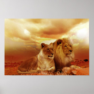 Snyggt lejont par poster