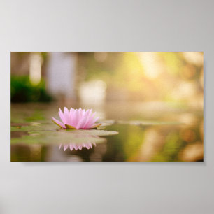 Snyggt Lotus Flower Ligcape, Zen Poster