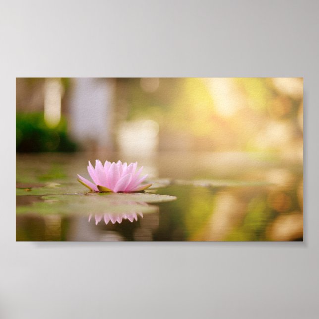 Snyggt Lotus Flower Ligcape, Zen Poster (Framsidan)