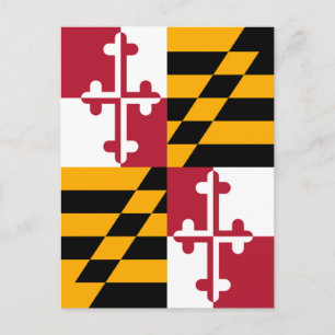 Snyggt Maryland Statlig flagga Decor Vykort