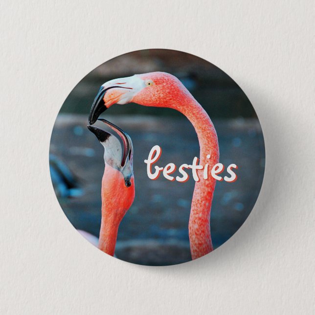Snyggt Modern Rosa Flamingos Photo Besties-skript Knapp (Framsida)