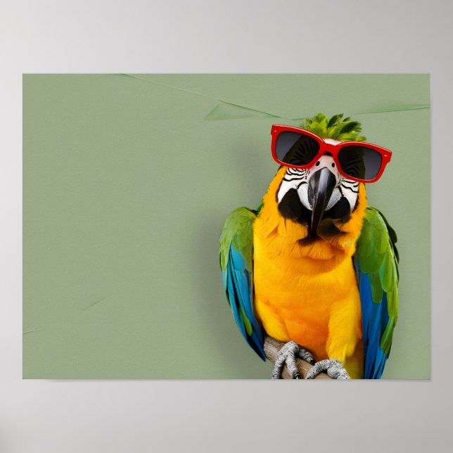 Snyggt Parrot i Red Sunglass Poster (Framsidan)