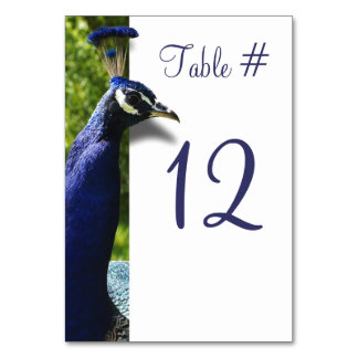 Snyggt Peacock Bröllop Bordsnummer Card
