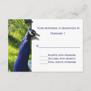 Snyggt Peacock Bröllop Response OSA kort