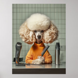 Snyggt Pudel Grooming Session Poster