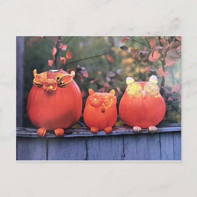 **** SNYGGT PUMPKINS HALLOWEN*** POSTCARD VYKORT (Framsida)