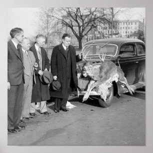 Snyggt rack, 1938 poster