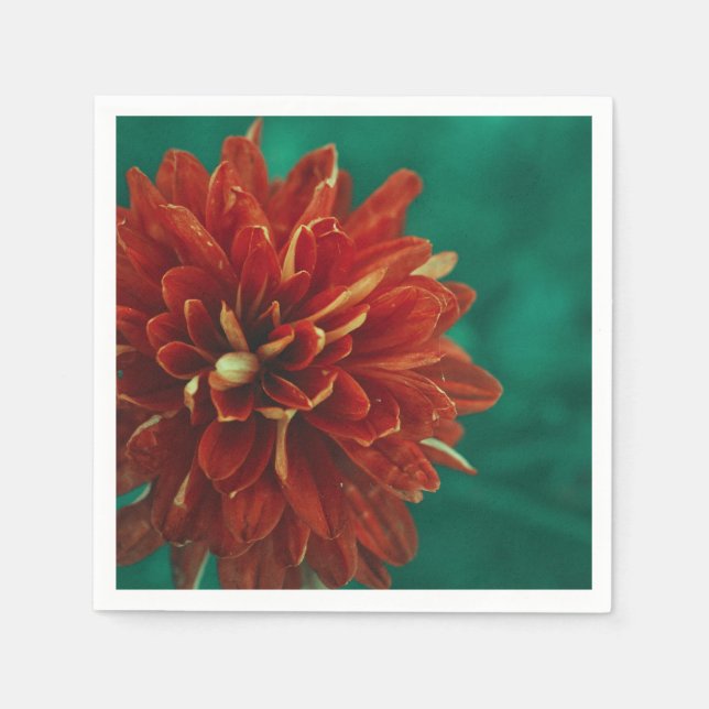 Snyggt Red Chrysanthemum Flower Pappersservett (Framsidan)