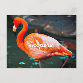 Snyggt Rosa Flamingo Photo Inspire Modern Script Vykort