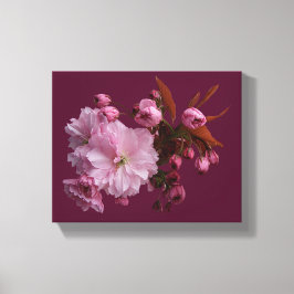Snyggt rosa körsbärsblommar blommigt bra konst canvastryck