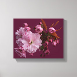 Snyggt rosa  körsbärsblommar blommigt bra konst canvastryck