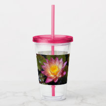 Snyggt Rosa Vatten Lily Photograph