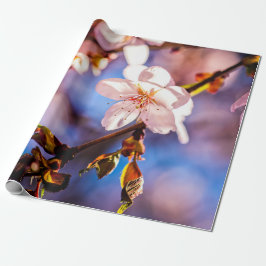 Snyggt Sakura Blommars Presentpapper