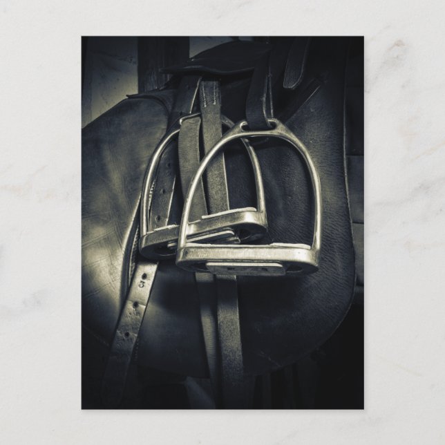 Snyggt Silver-stirups on English Riding Saddle Vykort (Framsida)