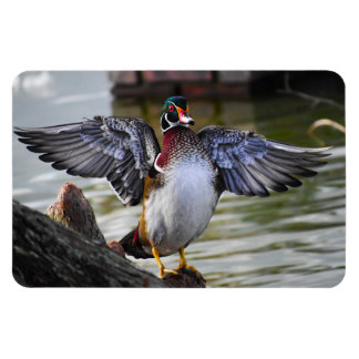 Snyggt slående fotografi av Wood Anka Florida Magnet