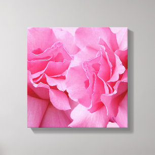 Snyggt söt rosa ros moderna blommigt bra konst canvastryck
