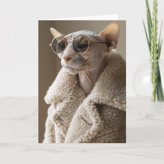 Snyggt Sphynx Cat i Sunglass och Sherpa Jackar Inbjudan (Framsida)