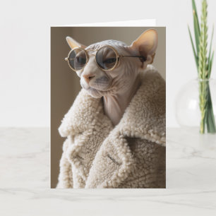 Snyggt Sphynx Cat i Sunglass och Sherpa Jackar Inbjudan