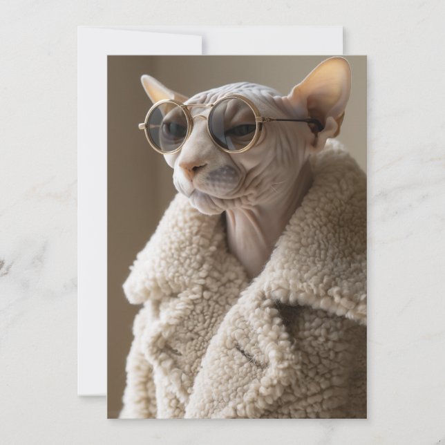 Snyggt Sphynx Cat i Sunglass och Sherpa Jackar Inbjudningar (Framsida)