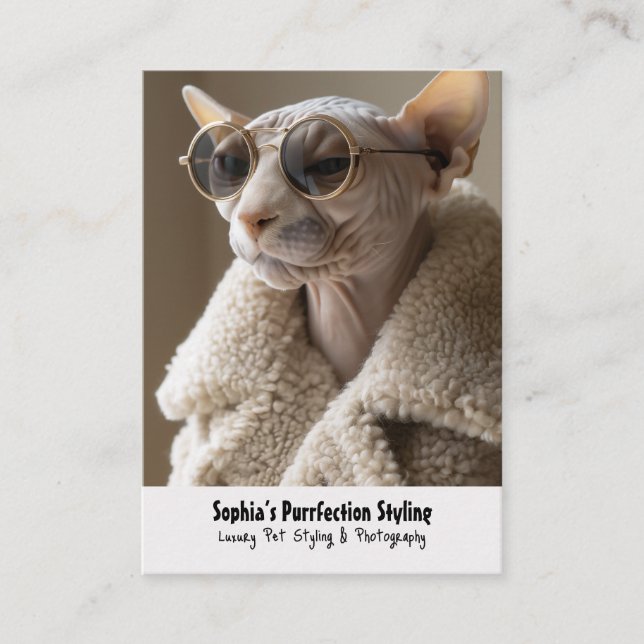 Snyggt Sphynx Cat i Sunglass och Sherpa Jackar Visitkort (Framsida)