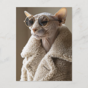 Snyggt Sphynx Cat i Sunglass och Sherpa Jackar Vykort