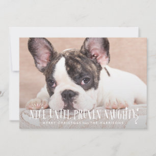 Snyggt till bevisad Naughty Funny Pet Julkort
