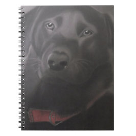 Snyval Labrador Retriever Anteckningsbok Med Spiral