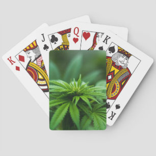 Snyval Ogräs Plant Casinokort