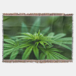 Snyval Ogräs Plant Filt