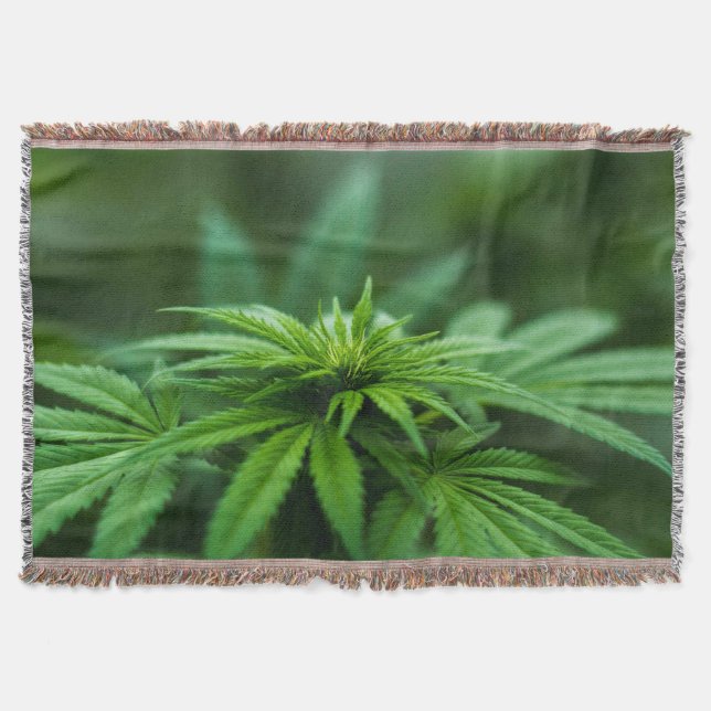 Snyval Ogräs Plant Filt (Framsidan)