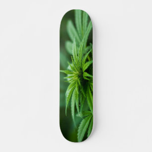 Snyval Ogräs Plant Mini Skateboard Bräda 18,5 Cm