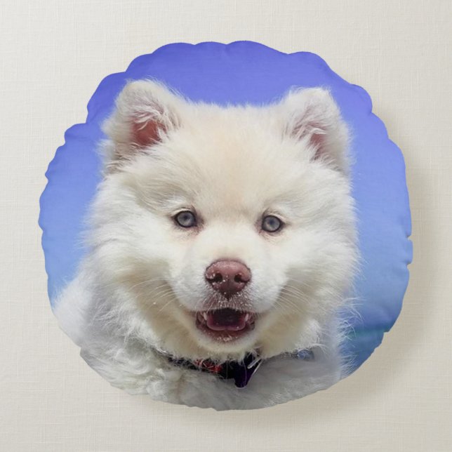 Snyval Samoyed Hund Rund Kudde (Framsidan)