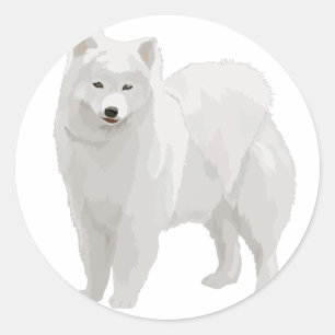 Snyval Samoyed Runt Klistermärke